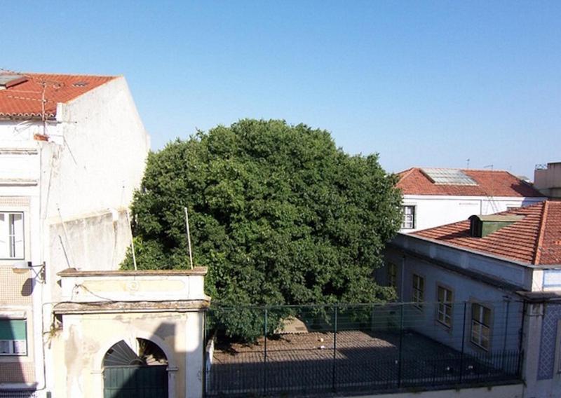 Bela Vista - Lissabon Altstadt Exterior foto